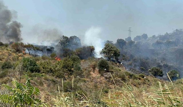 Şarköy’deki yangın kontrol altına alındı