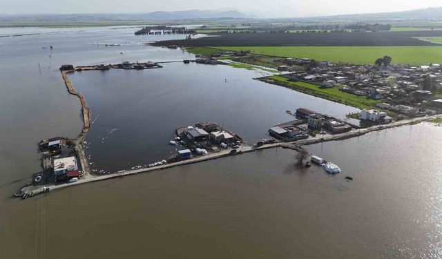 Amik Ovası'nda şiddetli yağışla birlikte tarım arazileri ve evler günlerdir sular altında