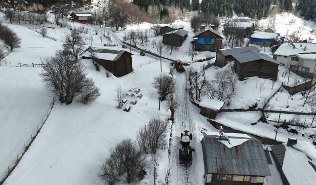 Artvin Orman Bölge Müdürlüğü'nden karla mücadeleye destek