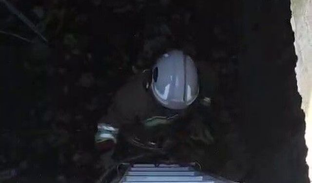 Atık su deposuna düşen kediyi kurtaran itfaiyeci, alkışlarla karşılandı