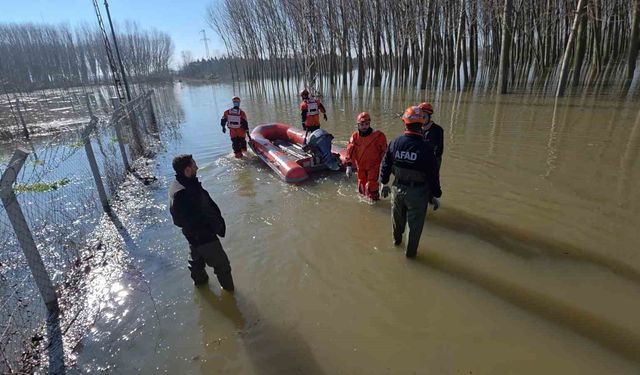 Edirne'de koyunlar botlarla kurtarıldı