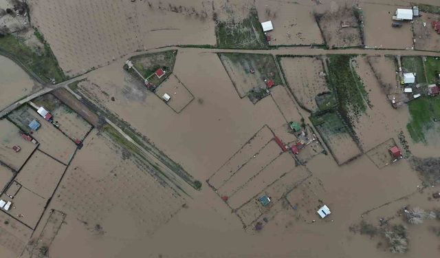 Edirne'de tarım arazileri ve yerleşim yerleri sular altında kaldı