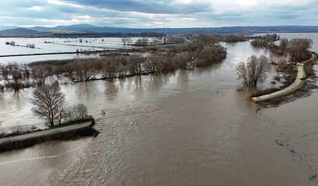 Edirne'de yüzlerce dönüm tarım arazisi sular altında