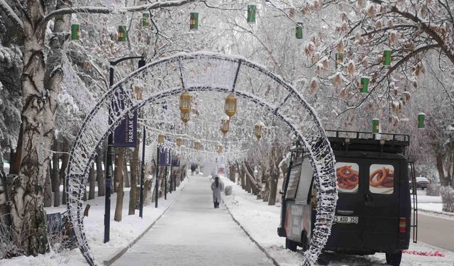 Erzurum'da soğuk havanın etkisiyle ağaçlar kırağı tuttu