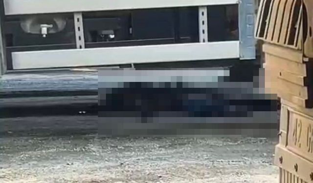 İzmir'de geri manevra yapan tırın altında kalan şoför hayatını kaybetti