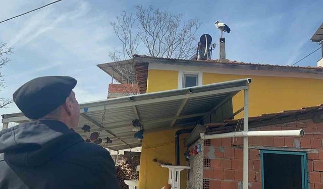 Leylek köyünde büyük sevinç: Eşi geldi, herkes Yaren'i bekliyor