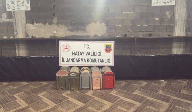 Süs Kanatlı Sokak Hayvanları Koruma Derneği'nde horoz dövüştürerek kumar oynayan 76 kişiye ceza yağdı