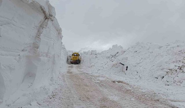 Türkiye-İran sınır hattında karla mücadele çalışması