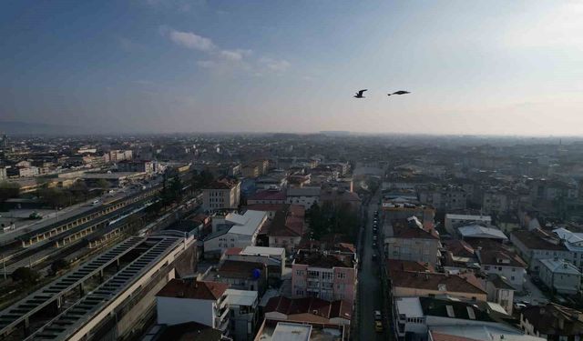 Sakarya'da aynı anda iki mevsim yaşanıyor