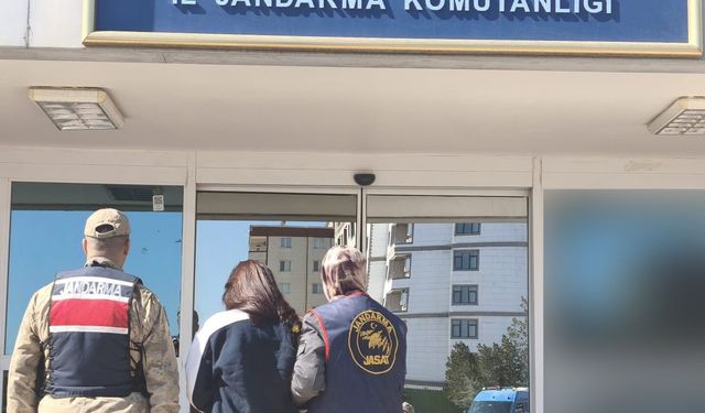 Şanlıurfa'da 35 yıl hapis cezası bulunan hükümlü yakalandı