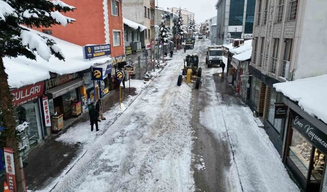 Sarıkamış'ta 'beyaz mesai': 600 kamyon kar şehir dışına taşındı
