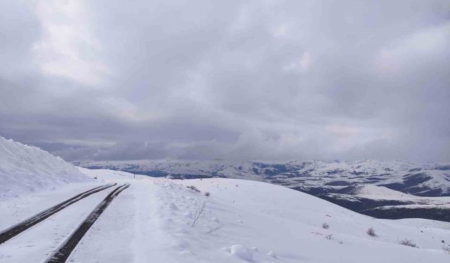 Aşkale'de Kar Yağışı Yeniden Başladı