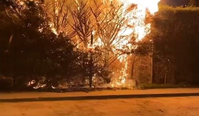 Ateşe Verilen Ağaç İtfaiye Ekiplerini Harekete Geçirdi