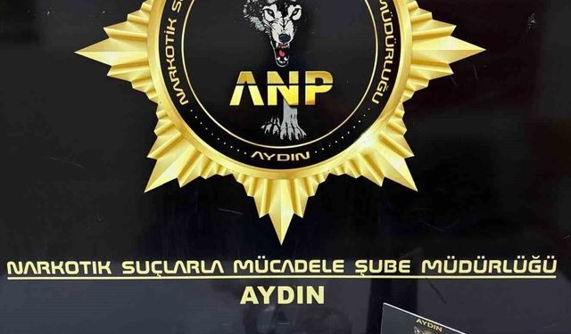 Aydın'da uyuşturucu baskını: 1 kişi tutuklandı