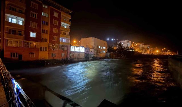 Baykan'da Bitlis Çayı'nın Su Seviyesi Yükseldi, Önlemler Alındı
