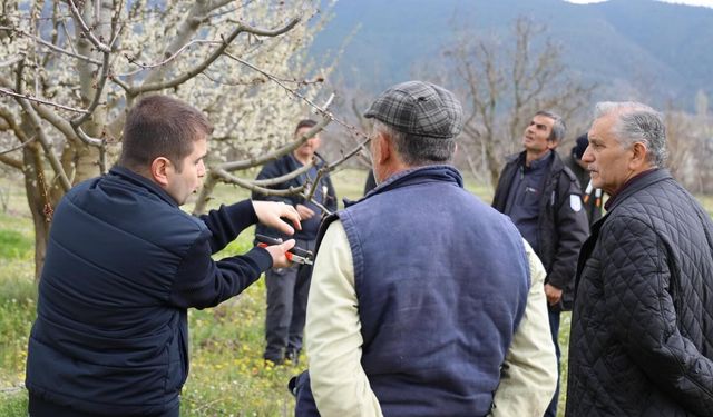 Bilecik'te Tarım Üreticilerine Budama ve Gübreleme Eğitimi Verildi
