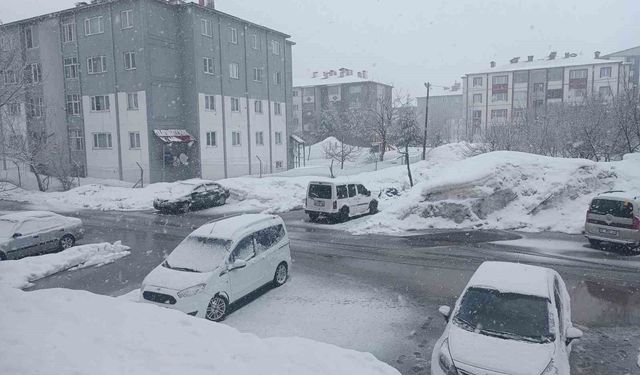 Bitlis'te Mart ayında kar sürprizi