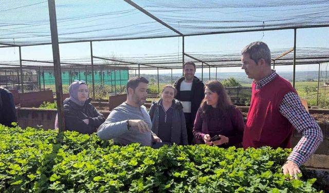 BŞEÜ, Meraların İklim Değişikliğine Karşı Korunmasında Önemli Bir Gelişme Kaydetti