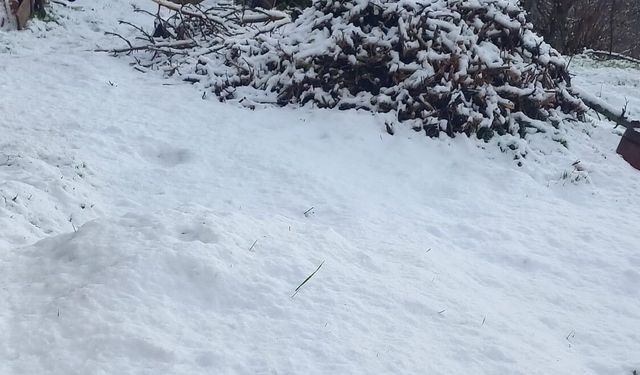 Çameli'de kar kalınlığı 20 santimetreye ulaştı