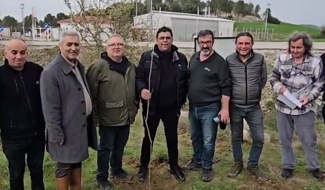 CHP'li başkan fidan dikiminde galoş tercih etti