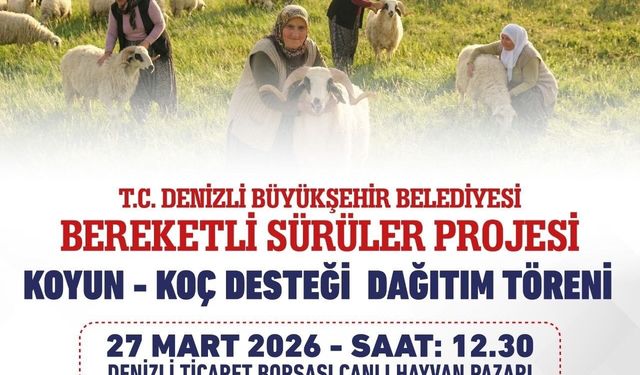 Denizli Büyükşehir, 582 çiftçiye 1200 koyun ve koç teslim edecek