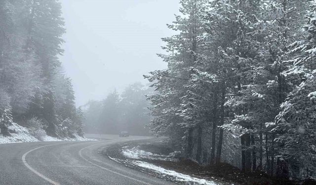 Domaniç Dağı'nda Karla Kaplı Manzara