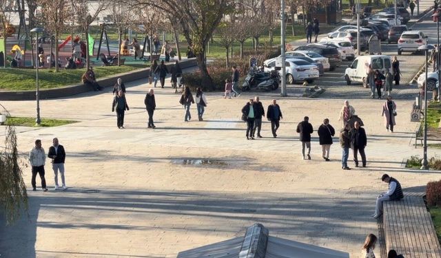 Domuz Gribi Vakaları Artış Gösteriyor