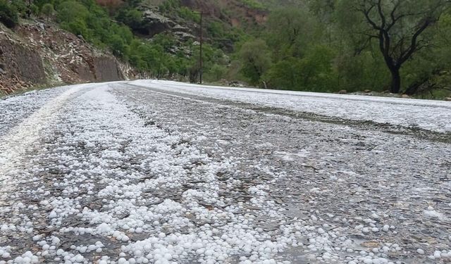 Erzincan'da Etkili Dolu Yağışı