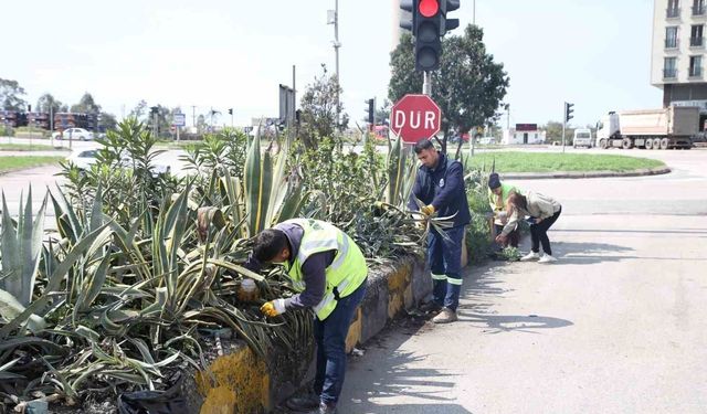 Hatay Büyükşehir Belediyesi bitki üretiminde yerli kaynakları artırmayı amaçlıyor