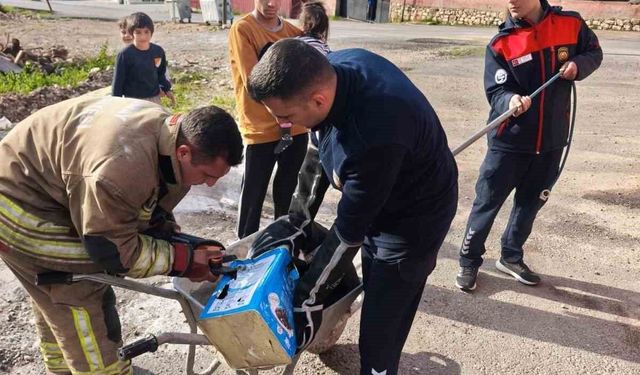 İtfaiye, mahsur kalan köpeklere yardım etti