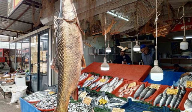Karakaya Barajı'nda 42 Kilogram Ağırlığında Turna Balığı Dikkat Çekti