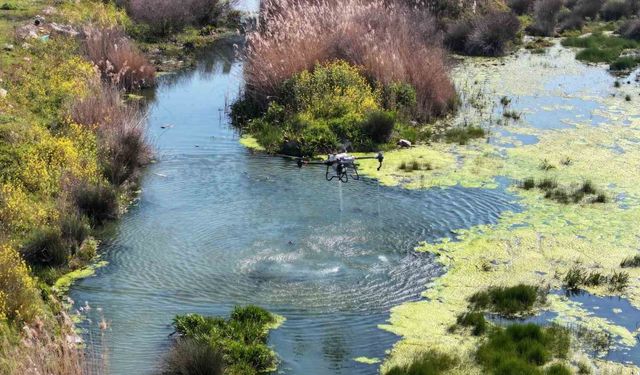 Manisa'da Sivrisineklerle Mücadele Çalışmaları Hız Kazandı