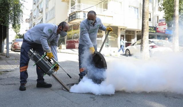 Mersin Büyükşehir Belediyesi, Haşerelere Karşı Mücadeleyi Devam Ettiriyor