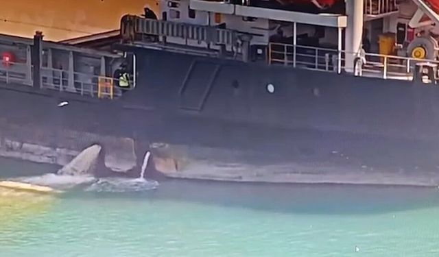 Mersin'de denizi kirleten gemiye 13 milyon TL'lik ceza uygulandı