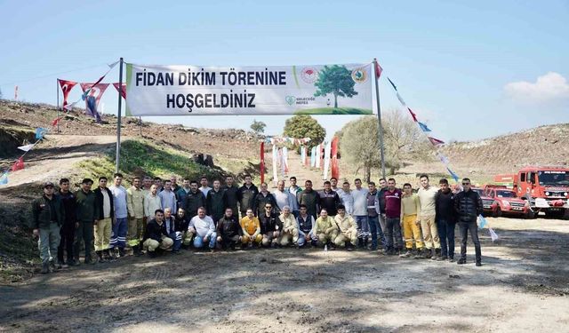 Milas'taki Yangın Alanları Fidanlarla Yeniden Yeşeriyor