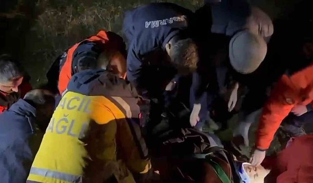 Ormanda kaybolan yaşlı kadın baygın olarak bulundu