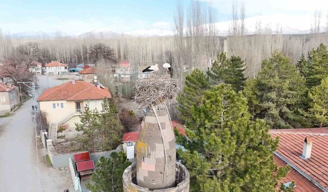 Şıhbarak Mahallesi'nde Leylekler Baharın Gelişini Müjdelerken Yuvalarına Döndü