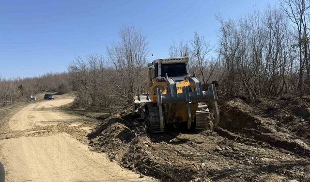 Sinop'ta Yeni Orman Taşıma Yolu Açılıyor
