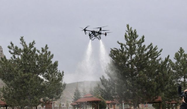 Sivas'ta Kene ile Mücadelede Hava ve Karadan Etkin Çalışmalar