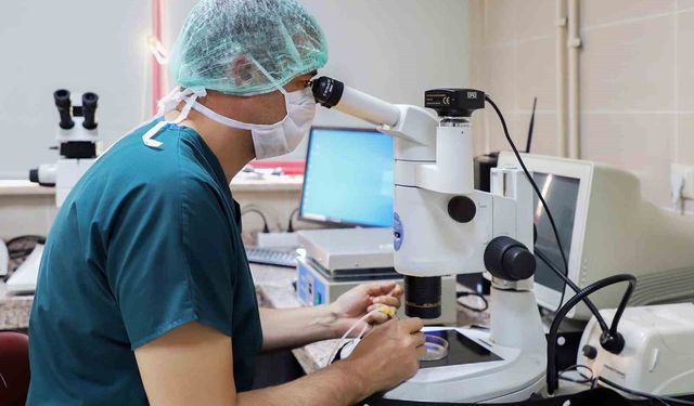 Tıp Fakülteleri Sıralamasında 3. Oldu