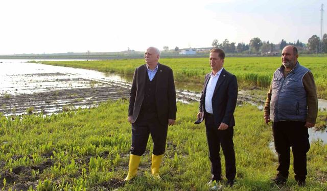 TZOB Başkanı Bayraktar: 'Çiftçilerimize acil nakit desteği sağlanmalı'