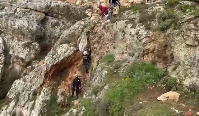Uçurumdan Düşen Köpek, 4 Saatlik Müdahale ile Kurtarıldı