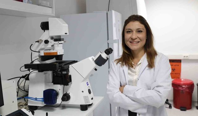 Uluslararası İş Birliği ile Kemik Erimesi Tedavisi Üzerine Çalışmalar Başladı