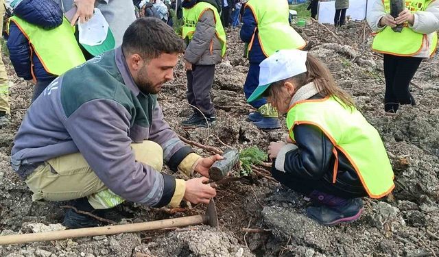 Yanan alan yeniden yeşeriyor: Aliağa'da yeni orman fidanları toprakla buluştu