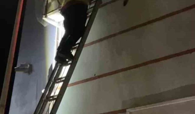 Yüksekten Düşen Yavru Kedi İtfaiye Tarafından Kurtarıldı