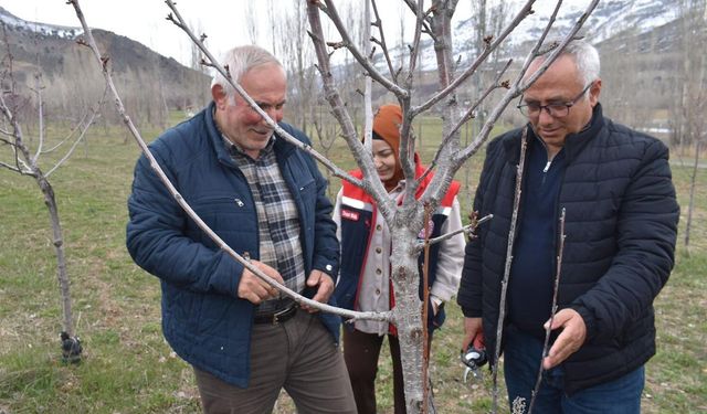 Bayburt'ta meyvecilik eğitimi başarıyla tamamlandı