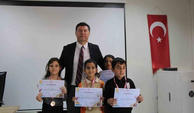 Cizre'de akıl ve zeka oyunları turnuvasında geleceğin yıldızları ödüllendirildi