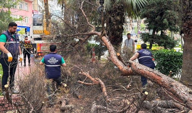 Efeler Belediyesi park güvenliğini artırıyor