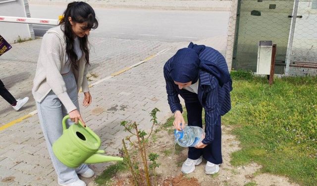 Gül Fidanları Emet MYO Kampüsüne Dikildi