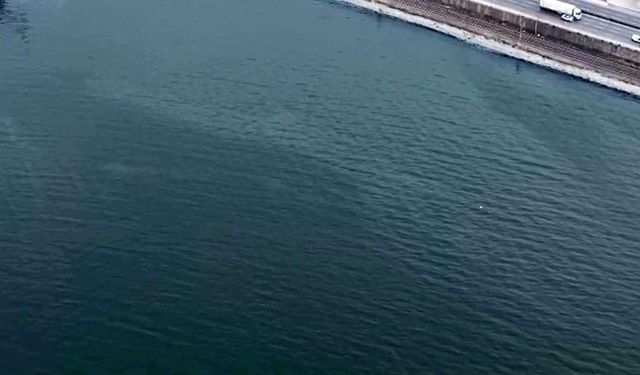 İzmir Körfezi'nde kirlilik tehlikesi: 11. kez tespit edildi